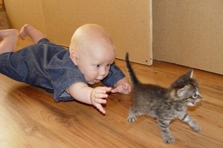 bambino insegue tira coda gatto
