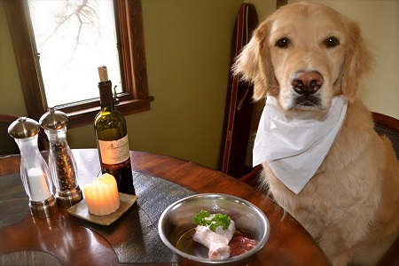 cane seduto a tavola mangia pollo vino