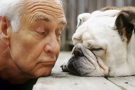 uomo anziano con cane bulldog