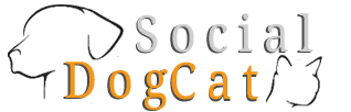 logo socialdogcat.com