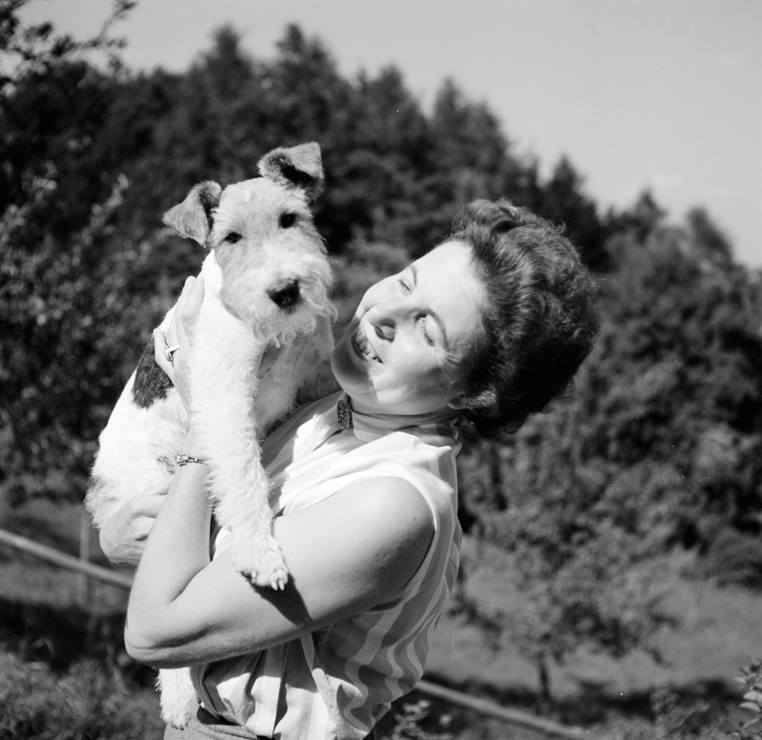 Airedale Terrier en brazos de una mujer, retrato histórico en blanco y negro